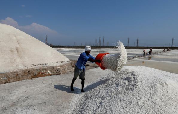 industrial salt india Imports	